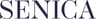 Law Firm Senica & Partners, Ltd logo