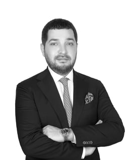 Levent Lezgin Kilinç, Founding Partner logo